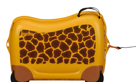 Multifunktionelt bånd