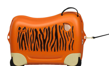 Multifunktionelt bånd