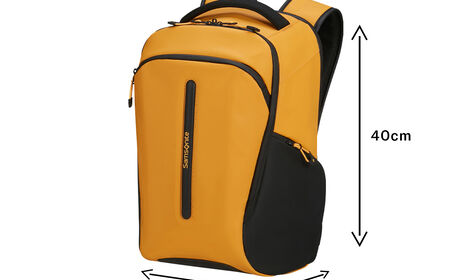 Opfylder Ryanairs krav