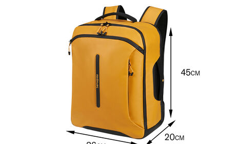 Opfylder EasyJets krav