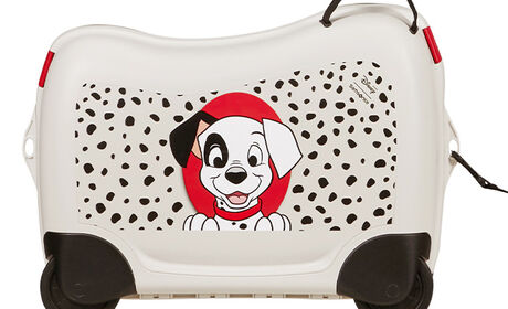 Multifunktionelt bånd