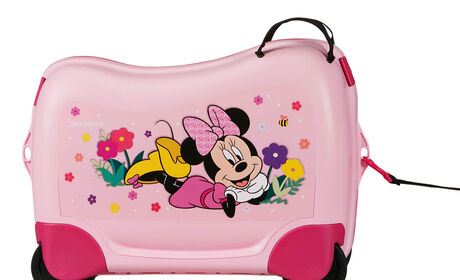 Multifunktionelt bånd