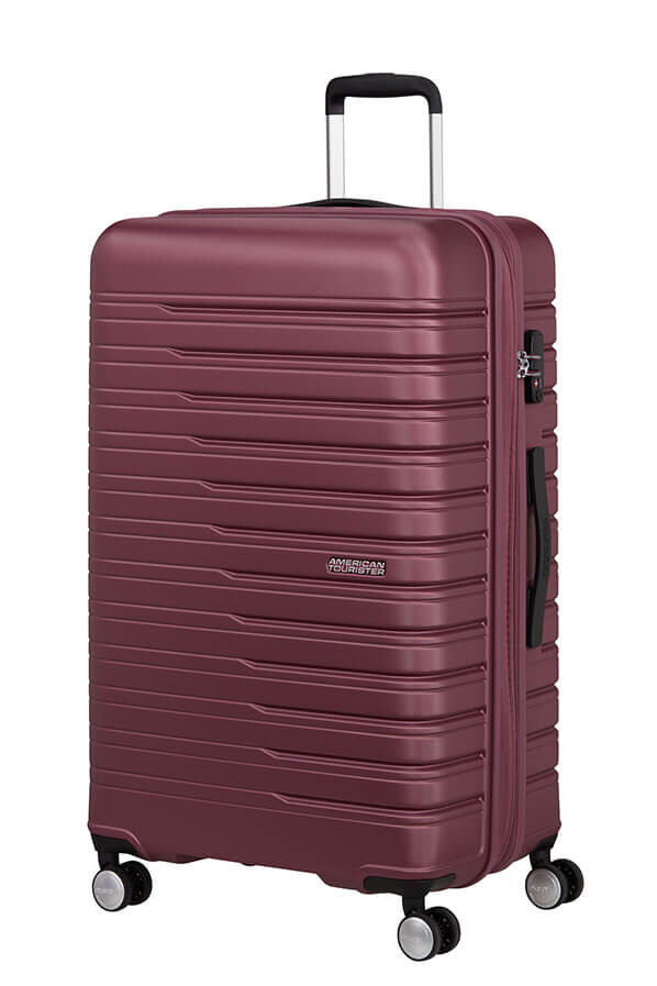 Flashline Large Check-in