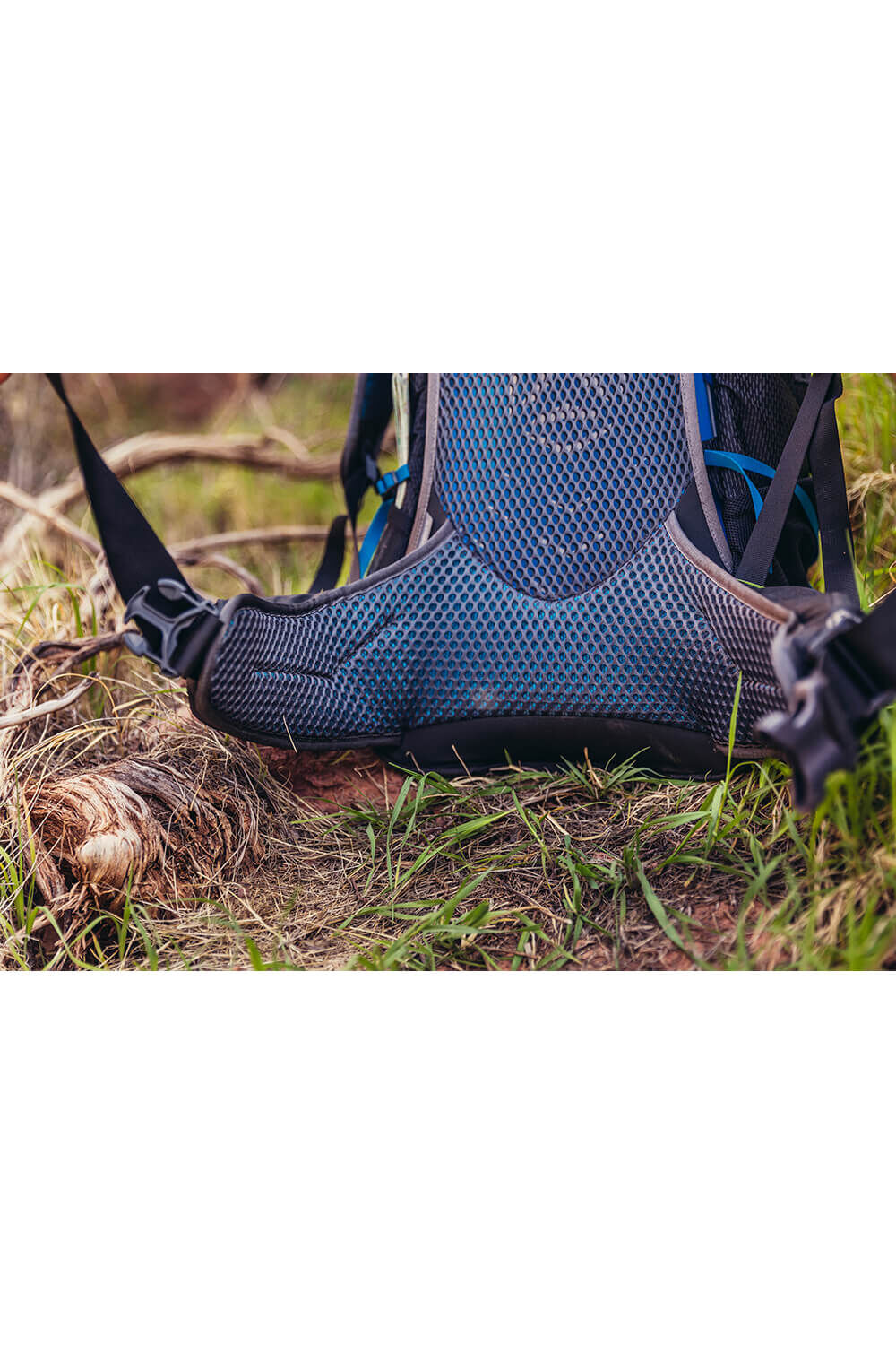 Gregory  CITRO 24 RC  Volt Blue